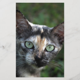 Grå Brun Vit Katt med Gröna Ögon Brevpapper