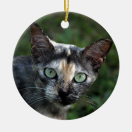 Grå Brun Vit Katt med Gröna Ögon Julgransprydnad Keramik