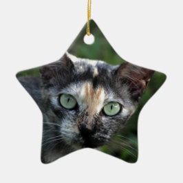 Grå Brun Vit Katt med Gröna Ögon Julgransprydnad Keramik