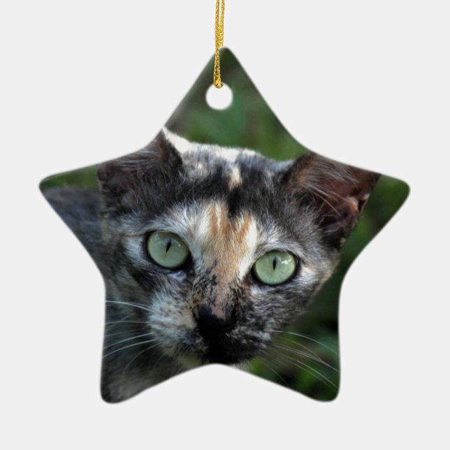 Grå Brun Vit Katt med Gröna Ögon Julgransprydnad Keramik (Framsidan)