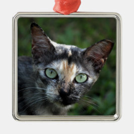 Grå Brun Vit Katt med Gröna Ögon Julgransprydnad Metall