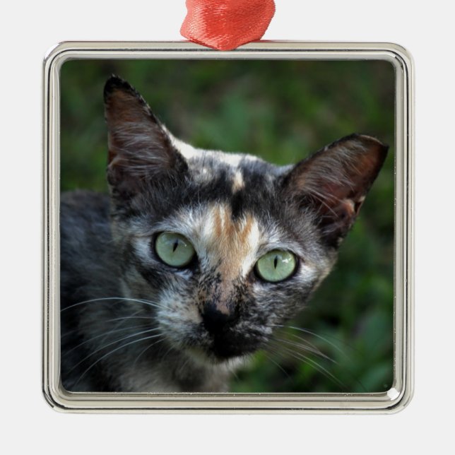 Grå Brun Vit Katt med Gröna Ögon Julgransprydnad Metall (Framsidan)
