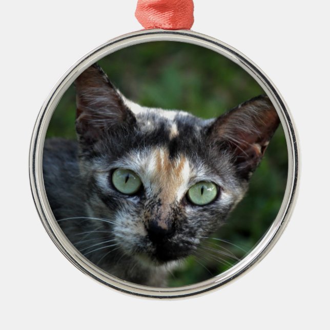 Grå Brun Vit Katt med Gröna Ögon Julgransprydnad Metall (Framsidan)