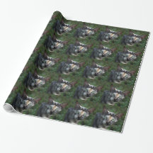 Grå Brun Vit Katt med Gröna Ögon
