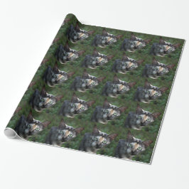 Grå Brun Vit Katt med Gröna Ögon Presentpapper