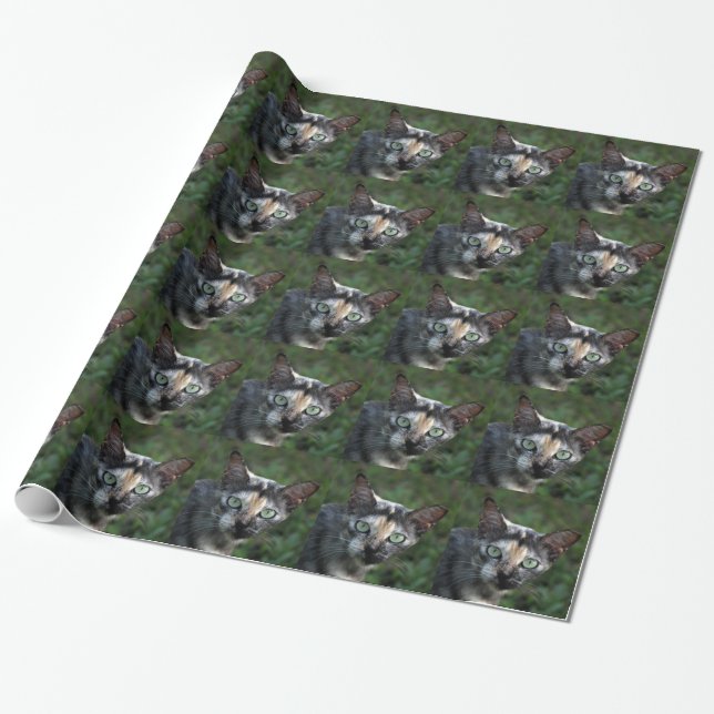 Grå Brun Vit Katt med Gröna Ögon Presentpapper (Utrullad)