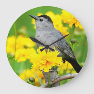 Grå Catbird på trästaket Stor Klocka