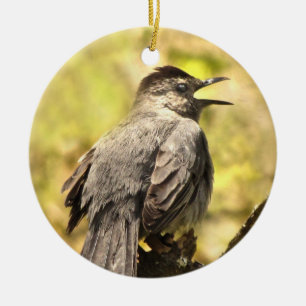 Grå Catbird som sjunger hans sångprydnad Julgransprydnad Keramik