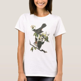 Grå Catbird vid Audubon Tee