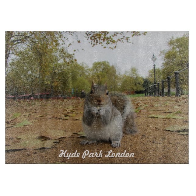 Grå ekorre Hyde Park London. (Framsidan)