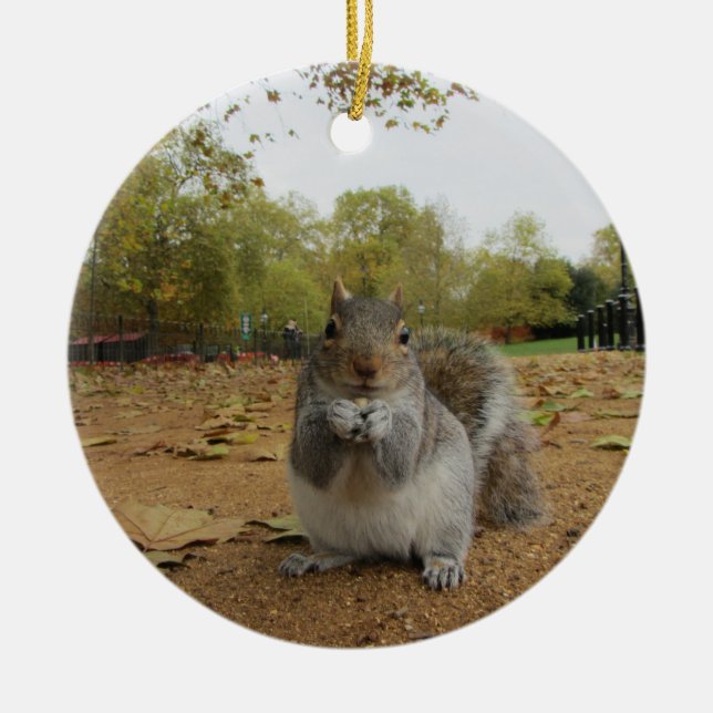 Grå ekorre i Hyde Park. Julgransprydnad Keramik (Framsidan)