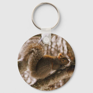 Grå ekorrekeychain nyckelring