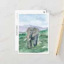 Grå elefant i djungeln