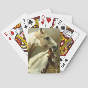 Grå Eventing hästkortlek Spel Kort