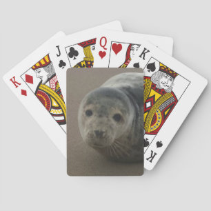 Grå färg förseglar den gulliga valpen spel kort