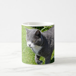 Grå färg- och vitkattmugg kaffemugg