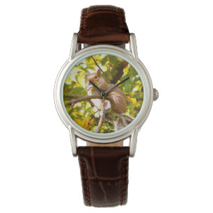 Grå färgekorre armbandsur