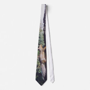Grå färgekorre - tie slips