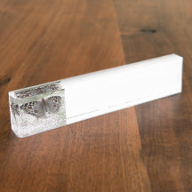 Grå färgfjärilen Clour avbildar -