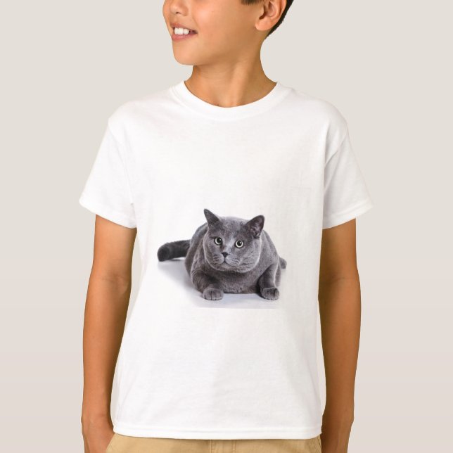 Grå färgkatt t shirt (Framsida)