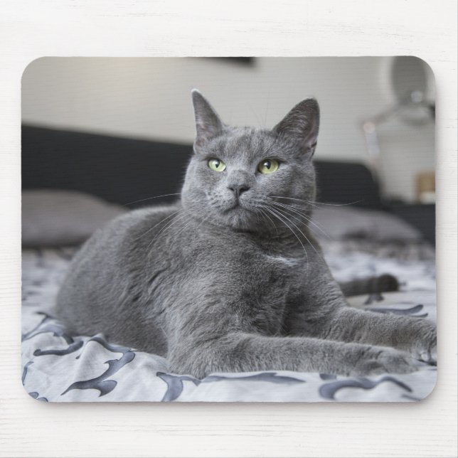 Grå färgkatten med grönt synar musmattan musmatta (Framsidan)