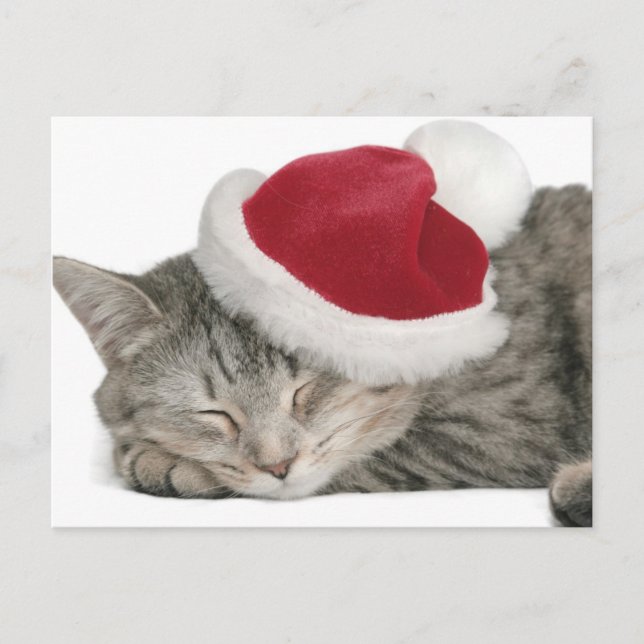 Grå färgkatten sovar i nytt års lock helg vykort (Framsida)