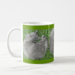 Grå färgkatten ta sig en tupplur kaffemugg