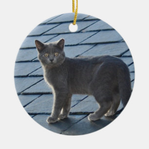 Grå färgkattungeprydnad julgransprydnad keramik
