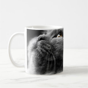 Grå färgperserkatt kaffemugg