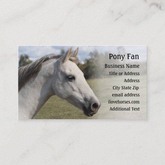 Grå färgponny - fotovisitkort visitkort (Framsida)