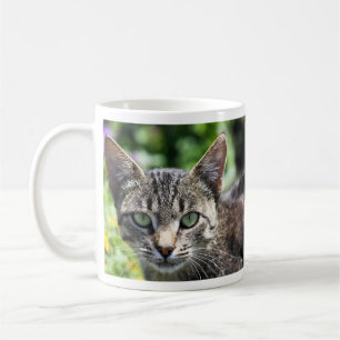 Grå färgrandkatt med gröna ögon kaffemugg