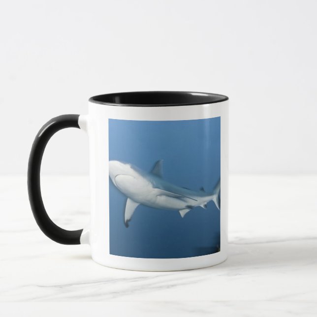 Grå färgrevhaj (Carcharhinusamblyrhynchos) Mugg (Vänster)