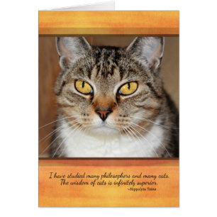 Grå färgtabby katt hälsningskort