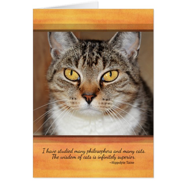 Grå färgtabby katt hälsningskort (Framsidan)