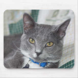 grå färgtabby kattmousepad musmatta