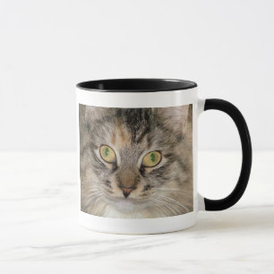 Grå färgtabby kattmugg mugg