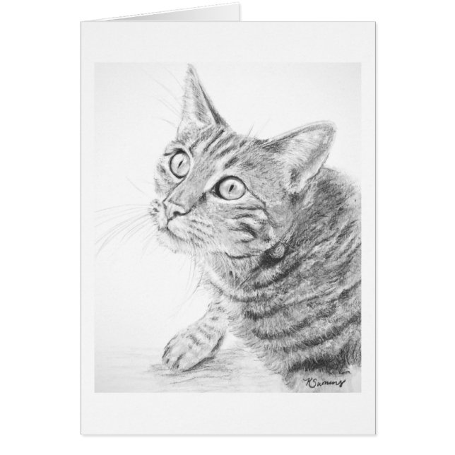 Grå färgtabby kattteckning hälsningskort (Framsidan)