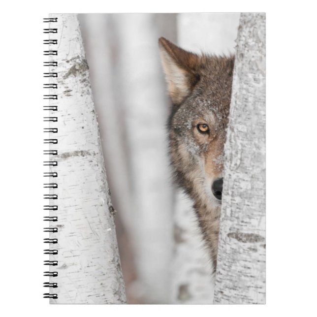 Grå färgvarg (Canislupus) bak träd Anteckningsbok (Framsidan)