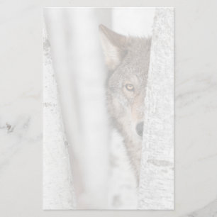 Grå färgvarg (Canislupus) bak träd Brevpapper
