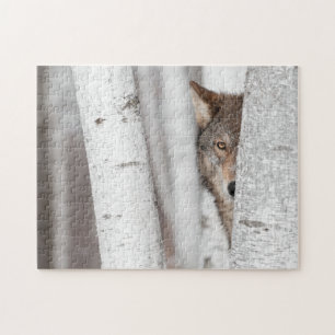 Grå färgvarg (Canislupus) bak träd Pussel