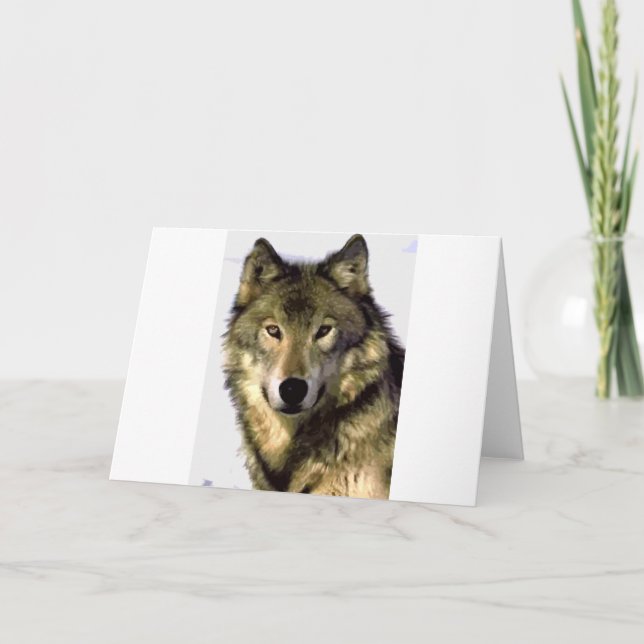 Grå färgvarg kort (Framsida)