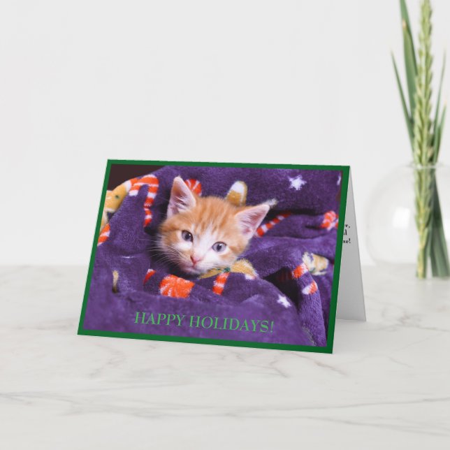 Grå filt katt  Orange kattunge  Julkort Helgkort (Framsida)