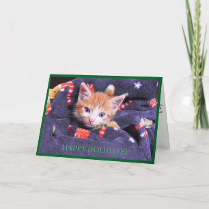 Grå filt katt Orange kattunge Julkort Helgkort