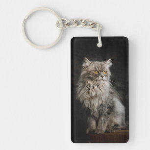 Grå Fluffig Katt