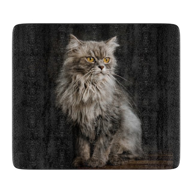 Grå Fluffig Katt  (Framsidan)
