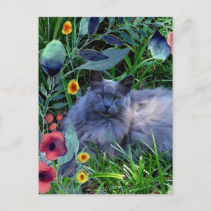 Grå Fluffig Katt i Trädgården med Blommor Vykort