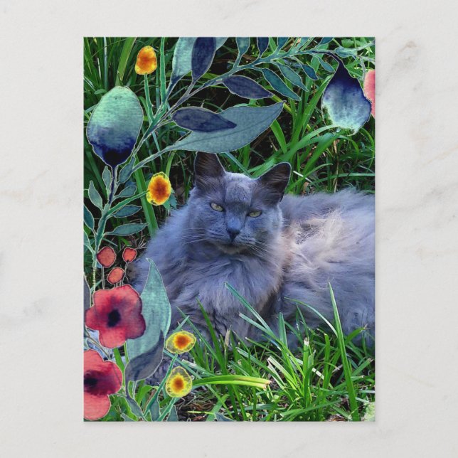 Grå Fluffig Katt i Trädgården med Blommor Vykort (Framsida)