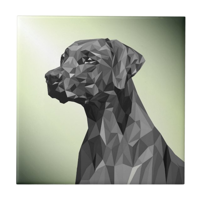 Grå Geometrisk Hund Grön Kakelplatta (Framsidan)