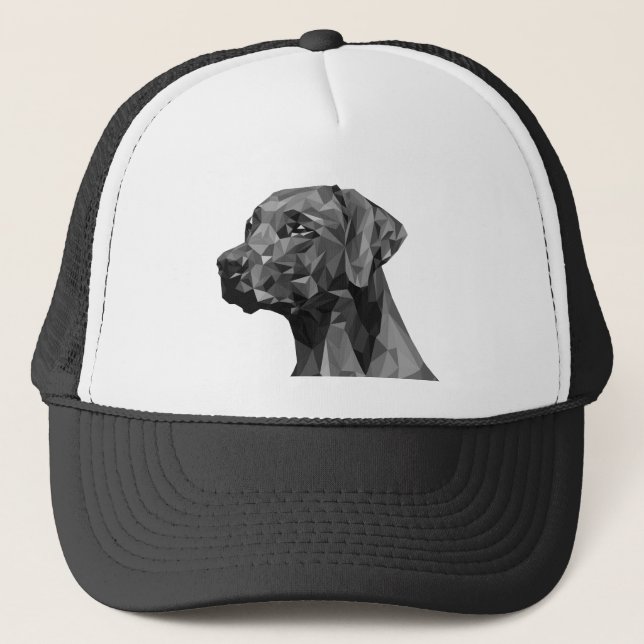 Grå geometrisk hund  keps (Framsida)