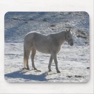 Grå häst Mousepad Musmatta
